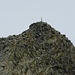 Keine Gemse - sondern das von mir restaurierte Gipfelkreuz des Hauptgipfels ;-)