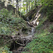 Kessel und Wasserfall - Schnebelhornbach ca. bei 823 m