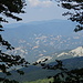 Panorama dal Monte Fumaiolo impedito dalla vegetazione.