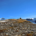 Gipfel des Piz Mirutta - links der Ringelspitz, rechts das Tschep
