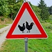 Achtung..... gefährliche Hühner?!?