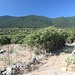 zunächst nähert man sich dem Berg über einen steinigen Weg