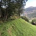 toller Graspfad über dem Val d'Anniviers