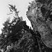 Die Kaminrinne zuunterst in der Rocher Pourri NW-Flanke, wo ein liegender Baumstamm den Ausstieg erleichtert...