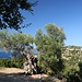 Blick hinüber zum Akropolis Berg