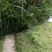 Am Ortsrand von Grub dann links ab auf einen markierten Pfad, erst am Waldrand lang, dann im Wald drin bis ganz runter nach Stockwinkl und dem Ausgangspunkt.