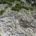 Weiterer Verlauf Jägersteig am Tobel Wasserfall Beistallaine / Stellen T4