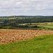 Auf der Hohen Straße *