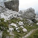 An dieser Stelle, gekennzeichnet durch eine Stein-Beschriftung, zweigt die Route zum Monte Daino ab. Der große Würfel-förmige Felsblock kann als Orientierungspunkt dienen, er wird links passiert.