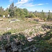 Ricostruzione dell'area funeraria di Campo Pianelli