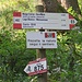 ..... beispielsweise hinauf Richtung Horn-Alm. Wir folgen an dieser Stelle aber der Almstraße (MTB Nr. 875) - den steilen Wanderweg Nr. 482 benutzen wir erst beim Abstieg.