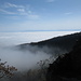 Aussicht auf Nebelmeer und Alpen von der Gwidemfluh
