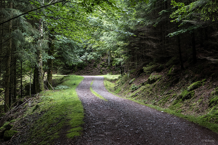 Nun weiter herauf zur Landstraße. Auf ihr nur 50 m...