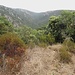Sulla destra, ino slargo del bosco, la vista si apre sulla Valle del Riu de Càrasu, che porta verso il Limbara.
