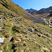 Sur le bisse de Chervé.