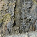 Das Ziel der Wanderung, der Fossil Tree. Im untern Teil der "Strunk", oben der Abdruck des Stammes. das Ganze ist ca. 8-10 m hoch.