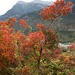 Auch im Wallis hat der Herbst Einzug gehalten.