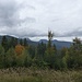 Blickrichtung Norden auf das Estergebirge, zu dem der Geißschädel ebenfalls noch gehört. <br />Der Geißschädel vermittelt durch seine ausgedehnte Hochfläche eine Art Taiga-Feeling.