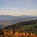 Blick in den Bregenzerwald.