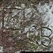 Hultschken/Holičky, Felsenkeller, Inschrift 1886 CB