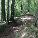 Basaltabbau der Teufelsmauer