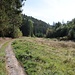 Lichtung