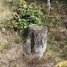 Böhmisch Neuland/Dolní Novina, Zaunsäule