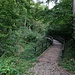Entre Kreuzlingen et la chapelle de Bernrain, le sentier passe dans ce vallon