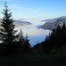 die Bregenzerwald Täler liegen noch im Nebel