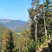 Der Schauinsland hinter dem Sankt-Wilhelmer-Tal
