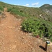 Imboccando il Cammino Minerario di Santa Barbara in direzione di Masua, si contorna il versante ovest del Monte Nai.