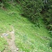 Abstieg nach Quehenberg