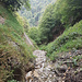 Blick zurück