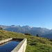 salita verso l'Alpe d'Arcoglio superiore