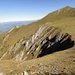 Homad mit davorliegender Alp; links Birespitz