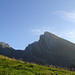 Morgenstimmung an der Alp Altstofel vor der Kulisse des Wildhuser Schafbergs