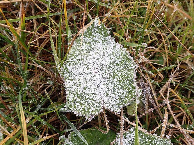 Frost - Fotos [hikr.org]