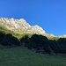 Start noch im Schatten: Zustieg zum Trittli, Felswand im Waldgürtel - dann nach links zum steilen Bergweg