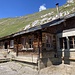 zurück auf Alp Bitzi
