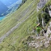 die Stufe im Rückblick - mit Waldisee