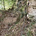 kettengesicherter Einstieg beim Trittli