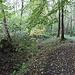 Abgebaute Čertova zeď