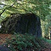 Čertova zeď in ursprünglicher Schönheit<br />Die insgesamt 12 km lange Čertova zeď ist eine nur wenige Meter breite, 55-80 Mio. Jahre alte magmatische Ader, die durch Erosion oberflächlich etwa 3-5 m hoch aus dem umgebenden Sandstein freigestellt wurde. Da der Basalt im 19. Jh. für den Wege- und Straßenbau gewonnen wurde, haben sich dadurch gerade im Bereich von Bergen tiefe Klüfte ergeben. Relativ spät hat man sich zum Schutz des Naturdenkmales entschlossen, so dass es nur noch wenige intakte Stellen gibt.