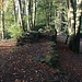 Teilabgebaute Čertova zeď
