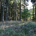 Jelínka, Gipfel