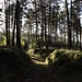 Hohlweg