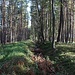 Abgebaute Malá Čertova zeď (Kleine Teufelsmauer)