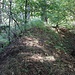 Abgebaute Malá Čertova zeď, Verspringen der Lage um etwa 5 m zur Seite, kurze Parallelstruktur
