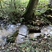 Bachquerung