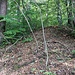 Neuer Ansatzpunkt bergwärts